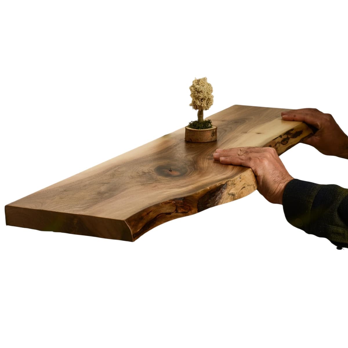 Ahşap Habitat Estante Flotante Live Edge de Nogal Real 72" x 8" - Madera Maciza Rústica