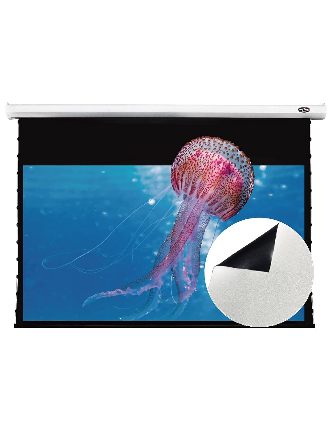 VIVID STORM SINCE 2004 VIVIDSTORM V6JLW135H Pantalla Motorizada 135" Tensiónada 16:9 para Proyector Normal Throw