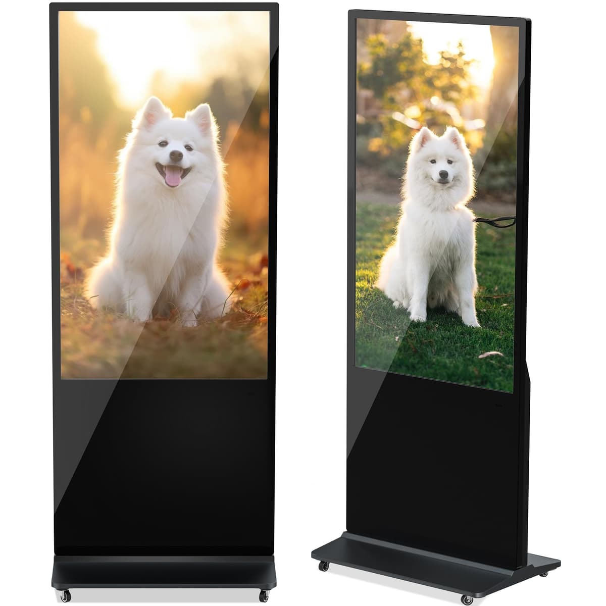 HLEC 55'' Señalización Digital 4K No Touch, Android, CMS, HDMI/USB, WiFi (4+64G) CS20-SG01-TSN55"