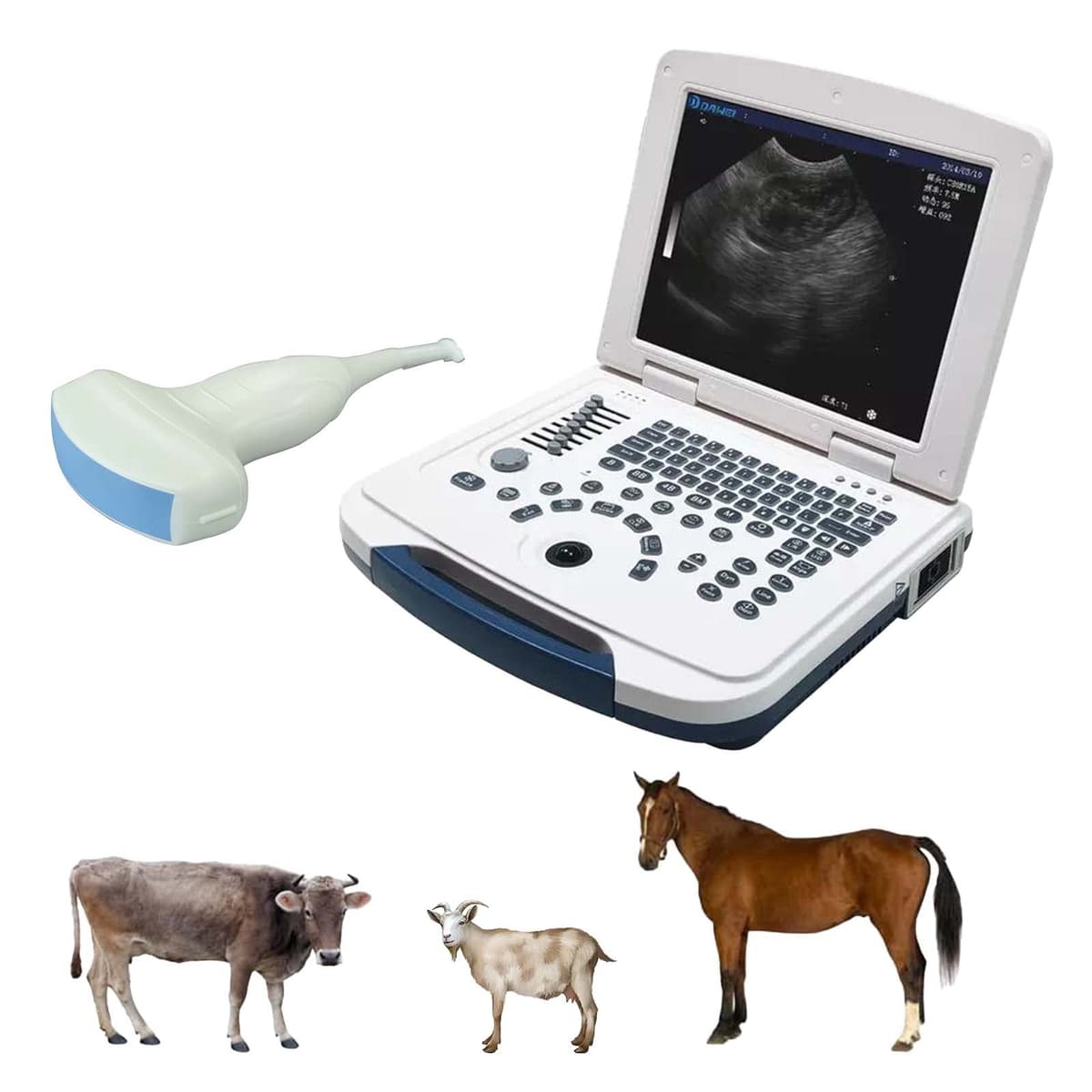 DAWEI MU10 ecógrafo veterinario portátil con pantalla 12.1", batería y sonda convexa (DAWEI Mu10)