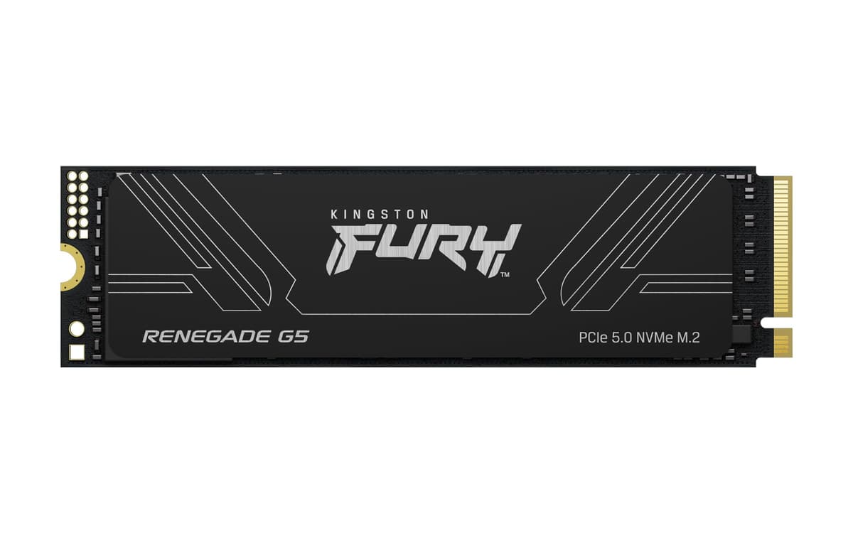 Kingston Fury Renegade G5 4096GB NVMe PCIe 5.0 M.2 2280 - SFYR2S/4T0