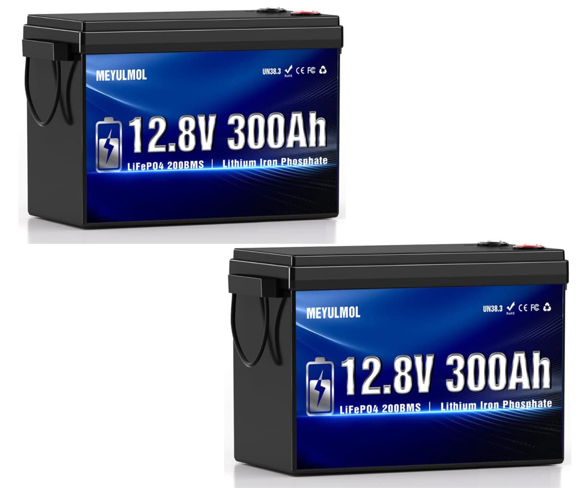 MEYULMOL 2 Pack 12V 300Ah LiFePO4 - 200A BMS, 3840Wh, protección baja temp
