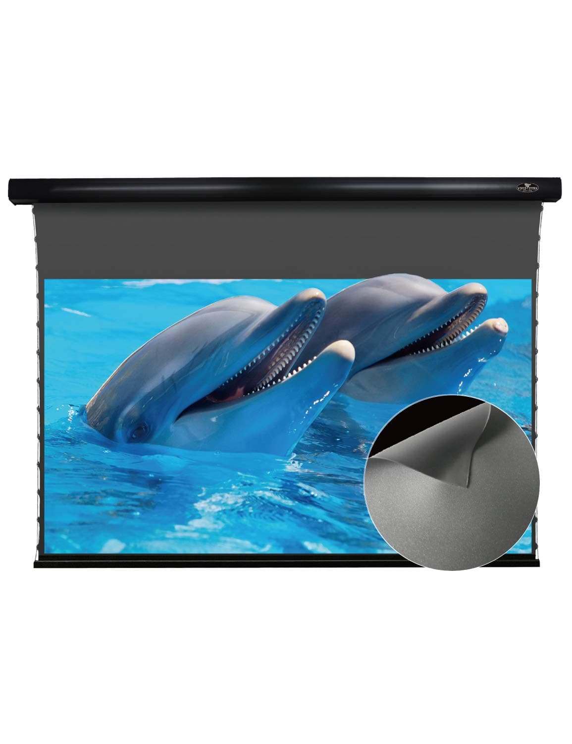 VIVID STORM SINCE 2004 VIVIDSTORM Pantalla motorizada ALR tensada 110" Obsidian VBMSLALR110H