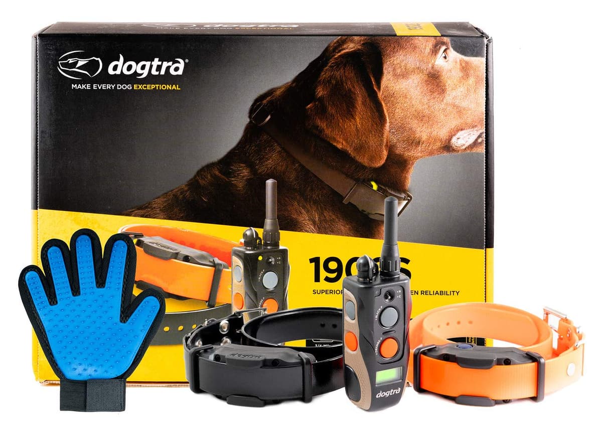 Dogtra 1902S - Collar de Entrenamiento para 2 Perros con Control Remoto AA