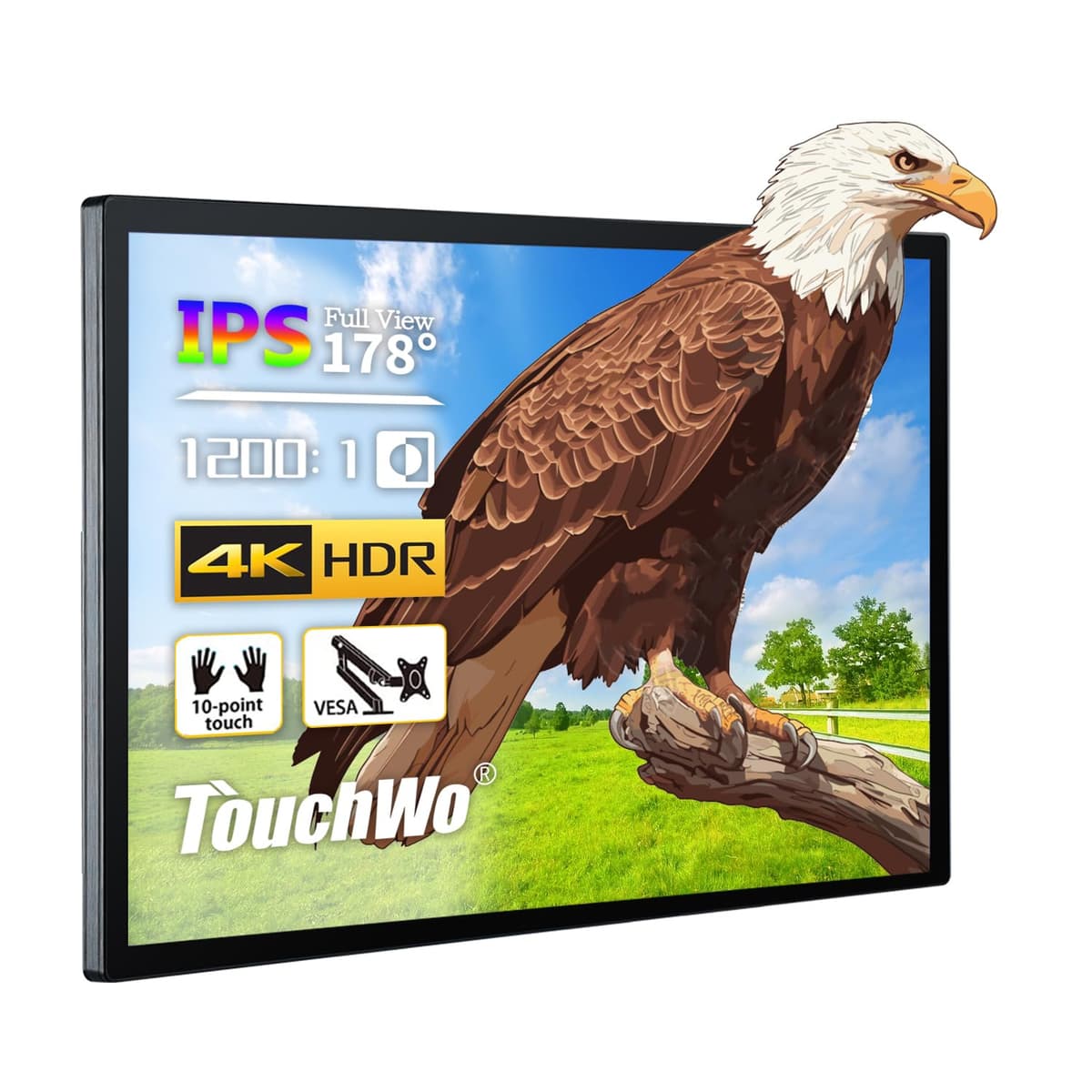 TouchWo 55" Capacitive Multi-Touch Industrial Monitor 4K - USB/VGA/DVI/HDMI TWWBHD550T
