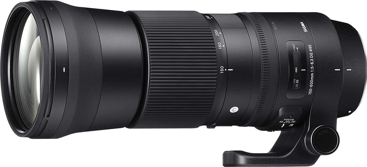 Sigma 150-600mm F5-6.3 DG OS HSM Contemporary para Nikon (Renewed) 745306