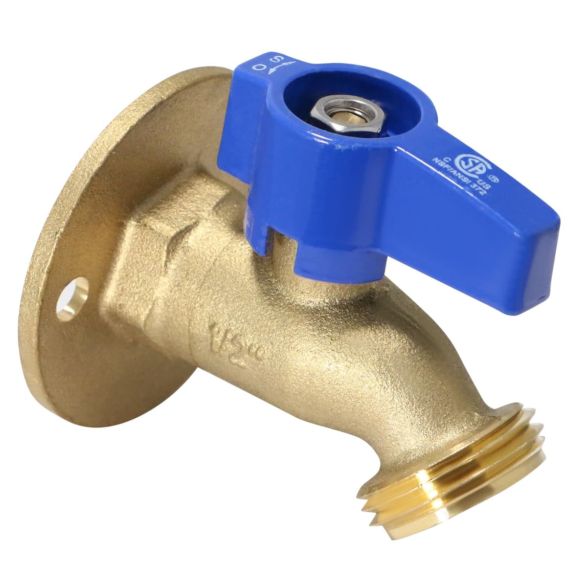 XFITTING Juego de 80 tomas de manguera 1/2" FNPT x 3/4" GHT con brida para clavar 5-2-4