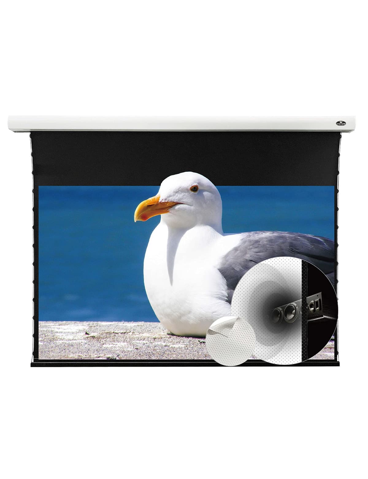 VIVID STORM SINCE 2004 VIVIDSTORM-Slimline Motorized Tension Pull Down Screen Proyector Perforado Transparente Acústicamente Blanco Cine, 4K/3D Home Cinema, Compatible con Proyector Estándar, VMSLPW100H VWMSLPW100H