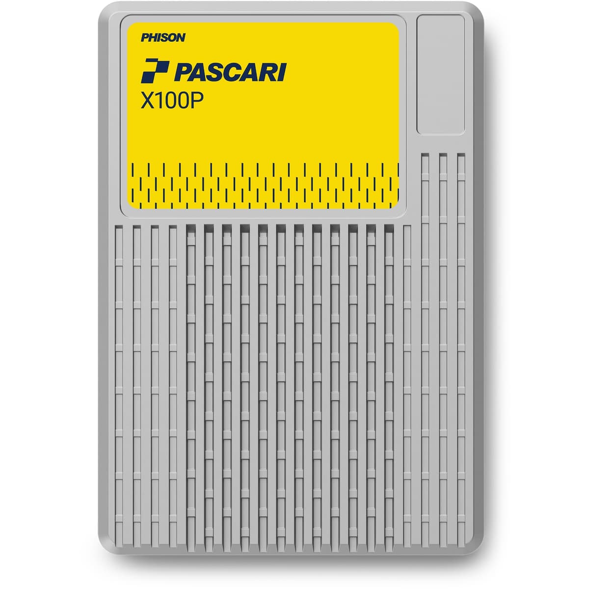 PASCARI Enterprise U.2 SSD 7680GB XP106H017T68P028T1900