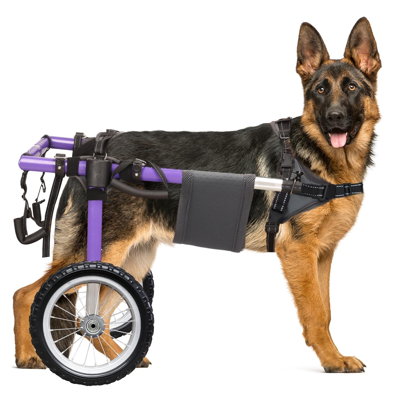 Silla de Ruedas para Perros Virbraroo TB-NEW