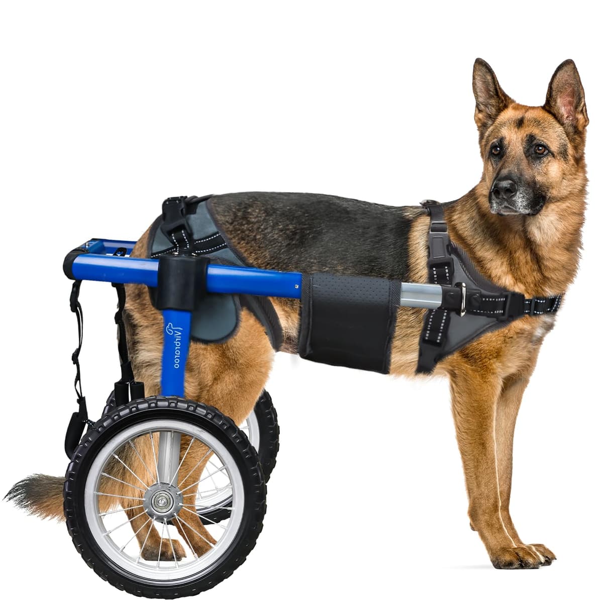 Virbraroo Silla de Ruedas para Perros TB-WC-L