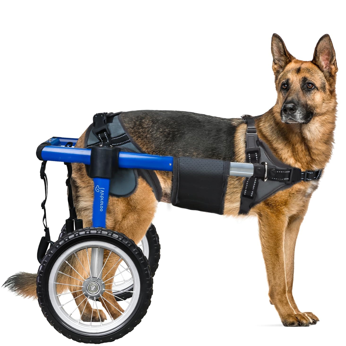 Virbraroo Silla de Ruedas para Perros TB-WC-L