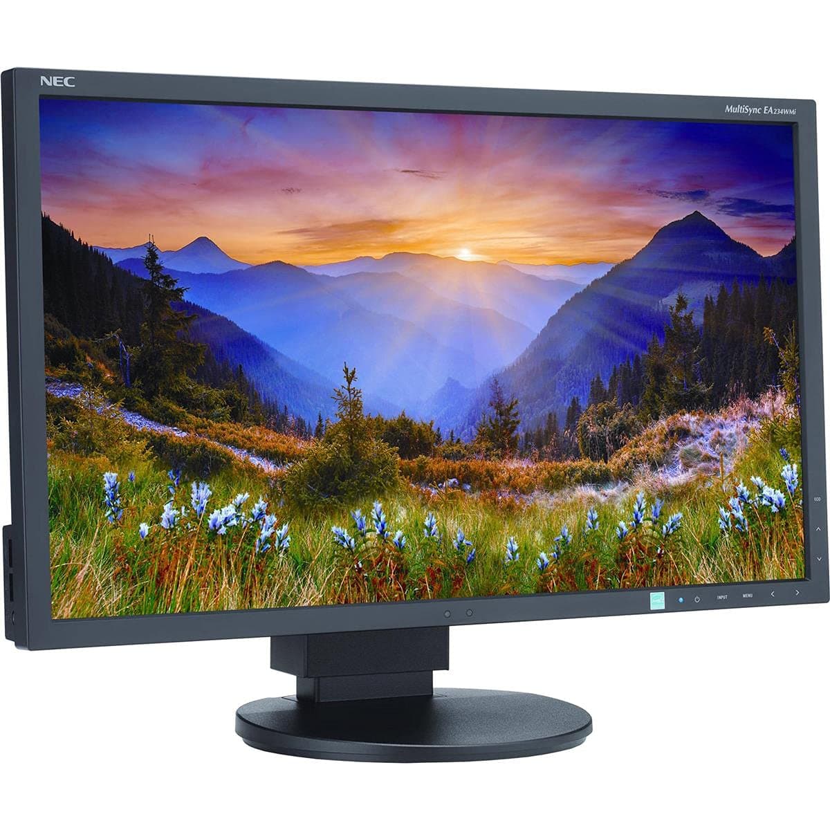 NEC EA234WMI-BK Monitor de 23 pulgadas con pantalla LED iluminada, negro