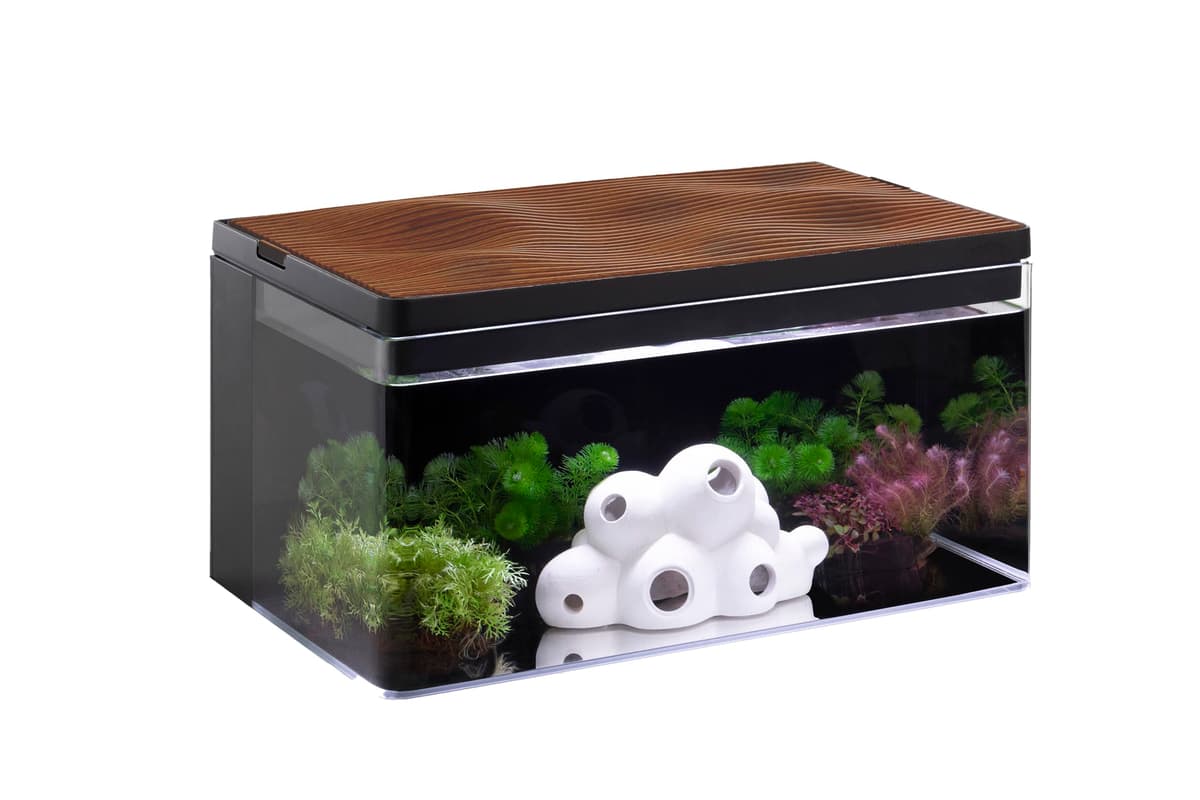 Harmony Aquarium Tank Deluxe by Clairnara - Acuario de Agua Dulce de 8 Galones L-HBO