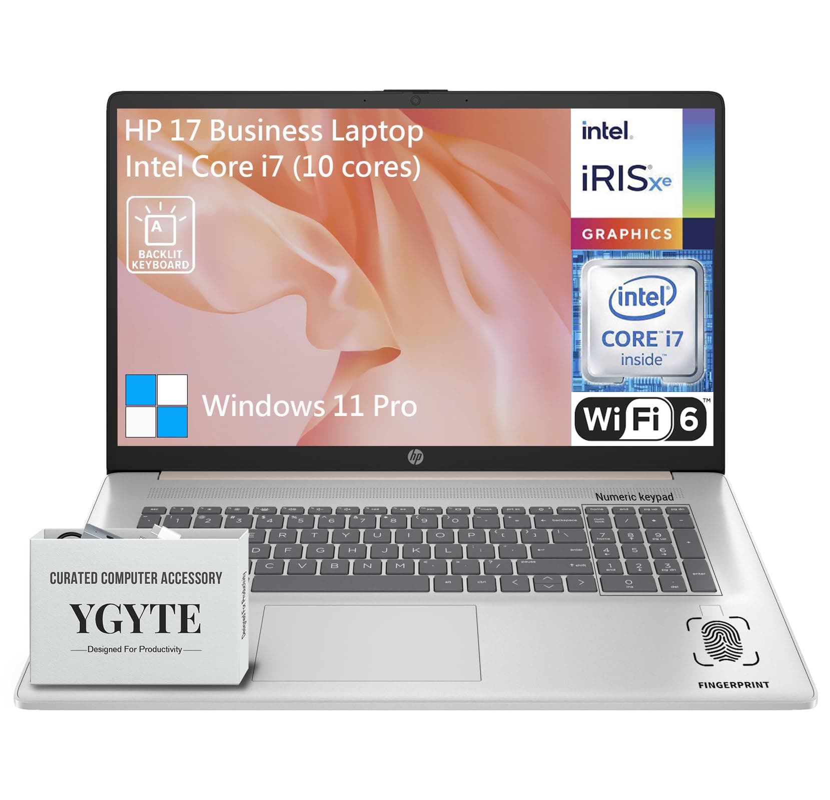 HP 17" Notebook con Pantalla Táctil - Intel Core i7 13ª Gen, 64GB RAM, 1TB SSD, Windows 11 Pro, Rosé Gold