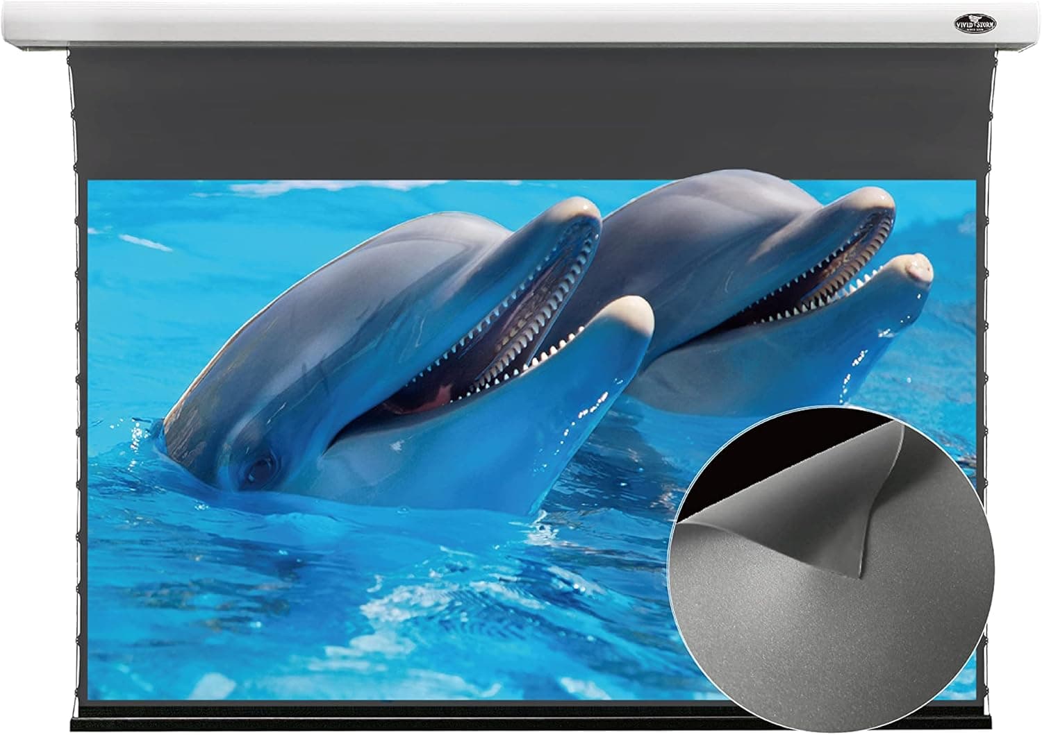 VIVIDSTORM Pantalla de proyeccion, Obsidian Long Focus ALR motorizada slimline para presentaciones de oficina, pantalla de cine interior, compatible con proyectores de tiro estandar de hasta 2500 ANSI lumenes, VMSLALR100H * PEDIDO!