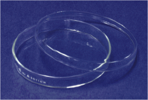 Placas Petri Pyrex 3160,150 x 20 mm, paquete de 12 3455106