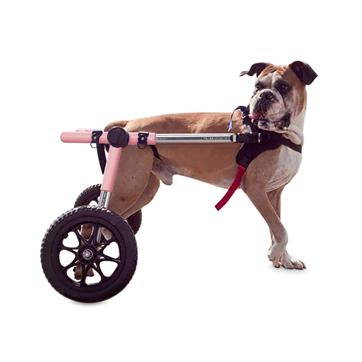 Silla de Ruedas para Perros Grandes Walkin' Wheels WW460-P