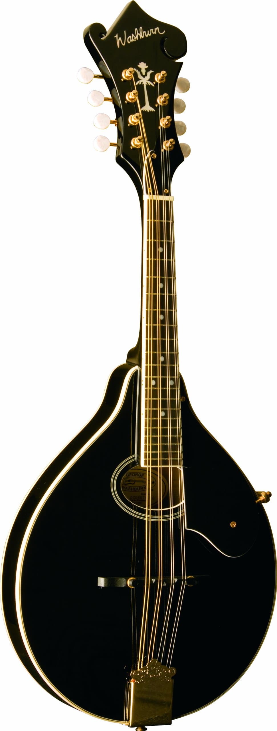Washburn Americana M1SD, mandolina M1SDLB-A