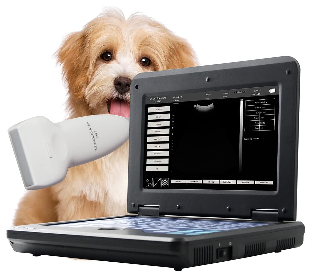 CONTEC CMS600P2VET Ecógrafo Veterinario Portátil con Sonda Lineal 7.5 MHz