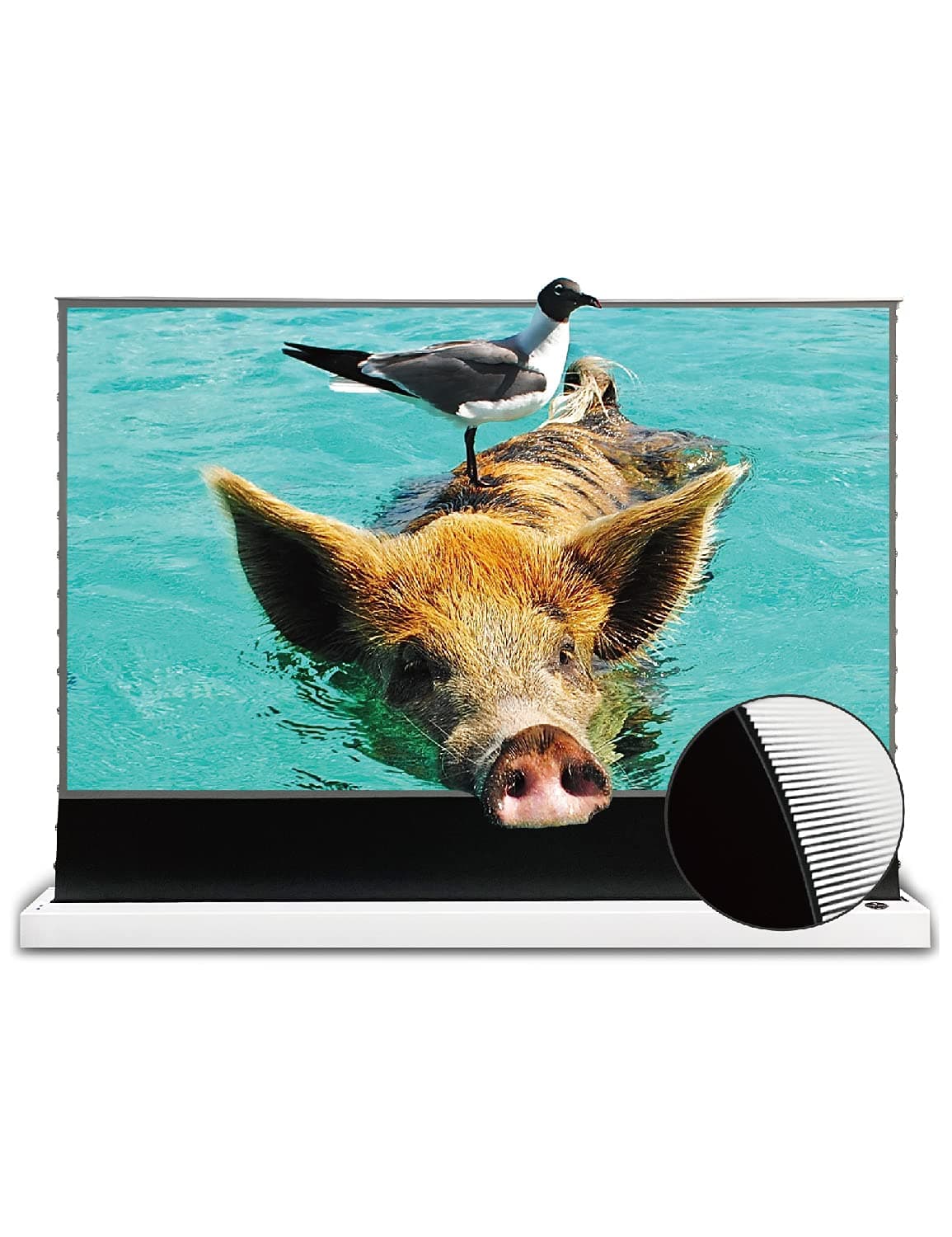 VIVID STORM SINCE 2004 VIVIDSTORM VWSDSTUST110H - Pantalla motorizada UST ALR 110" tensada, compatible 4K/8K da-hanl-kag549