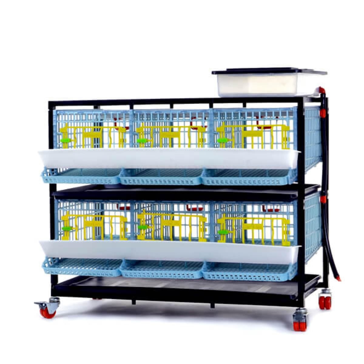 Hatching Time Jaula de Cría de Codornices Cimuka Jumbo Interior - 2 Capas Apilables | 38.6" x 24" x 35.8" Fácil de Limpiar, Sistema de Cría de Plástico Antioxidante con Divisor Removible y Bandejas de Recolección de Huevos BYK-03-2K