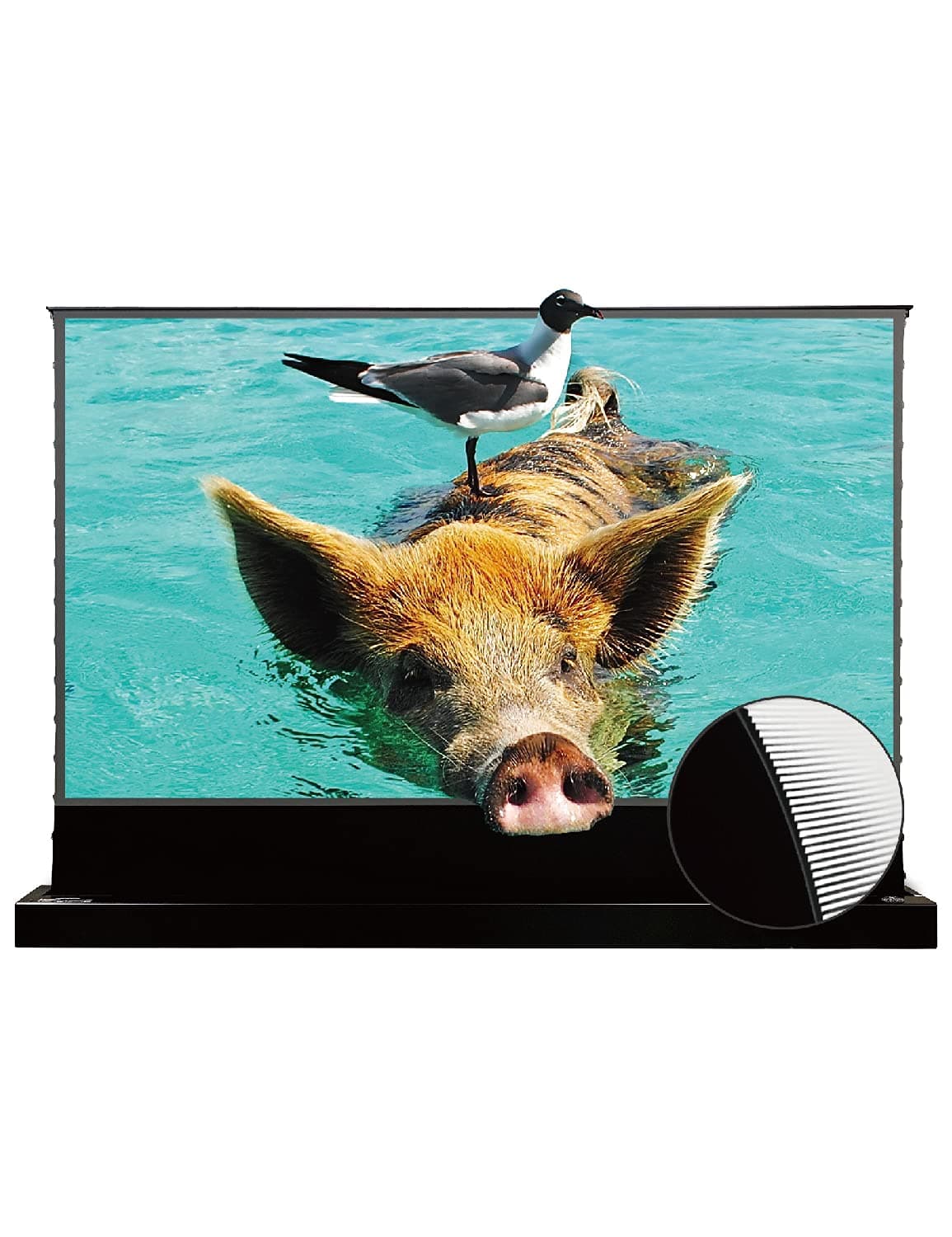 VIVID STORM SINCE 2004 VIVIDSTORM S PRO Motorized Tension Floor Rising Projector Screen 100-inch VSDSTUST100H da-hanl-kag539