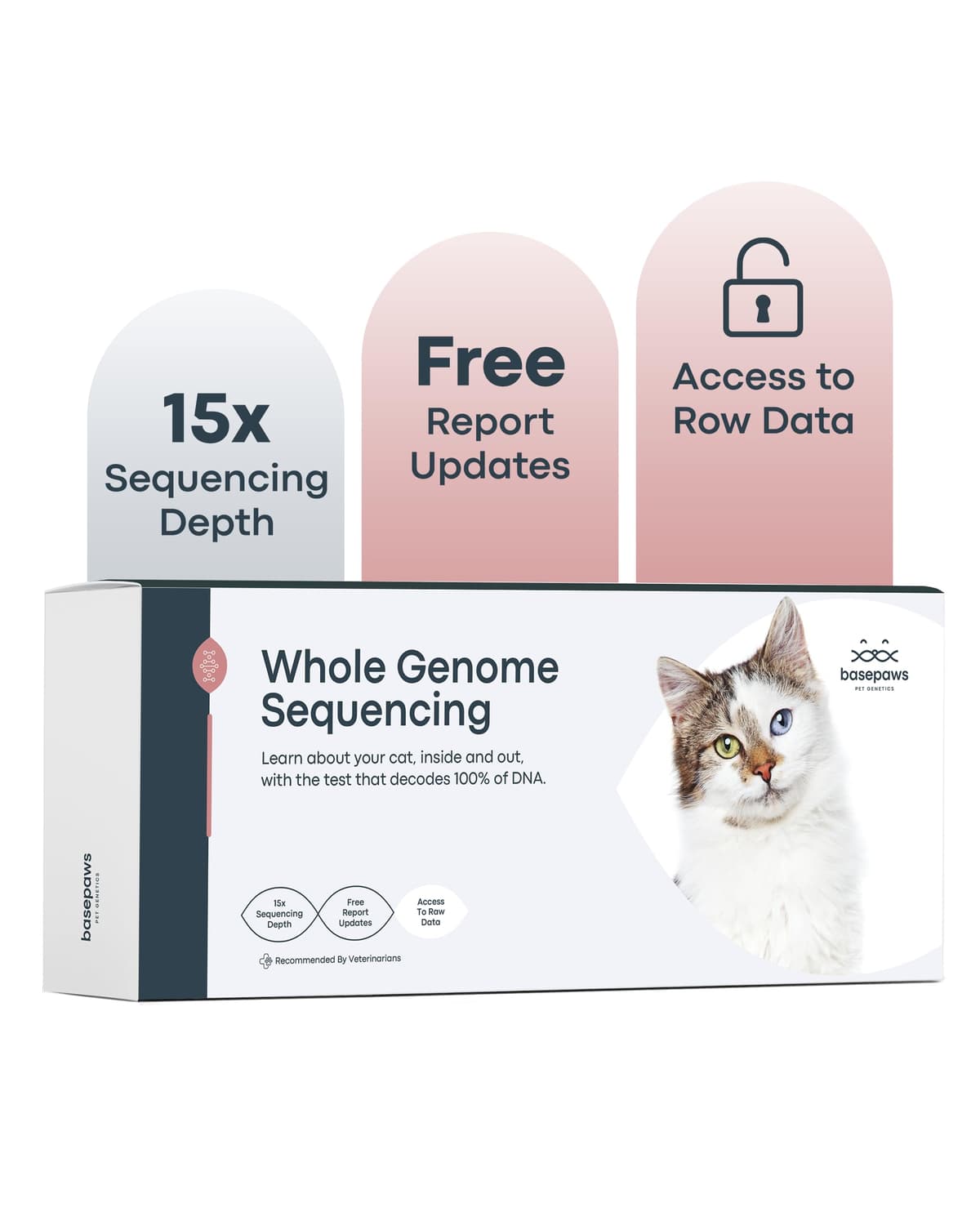 Basepaws Kit de Prueba de ADN para Gatos - Análisis Integral de Raza, Salud y Dental en 114 Rasgos WGS