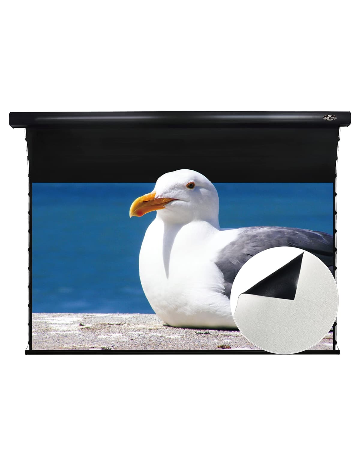 VIVID STORM SINCE 2004 VIVIDSTORM VBMSLW110H Pantalla motorizada tab-tension 110" (normal throw)
