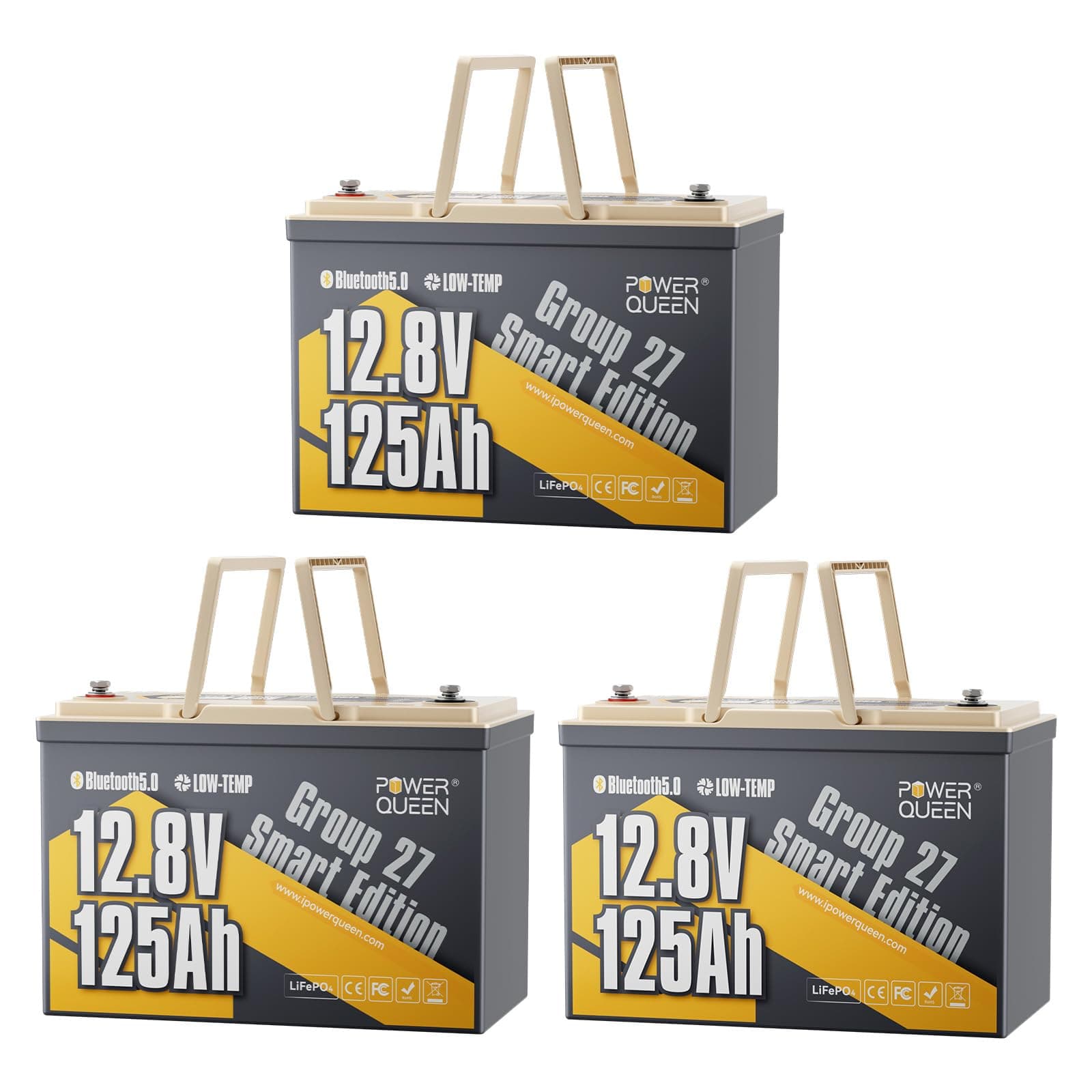 power queen P12V100-100-PREM-BT-16-A60-PACK3