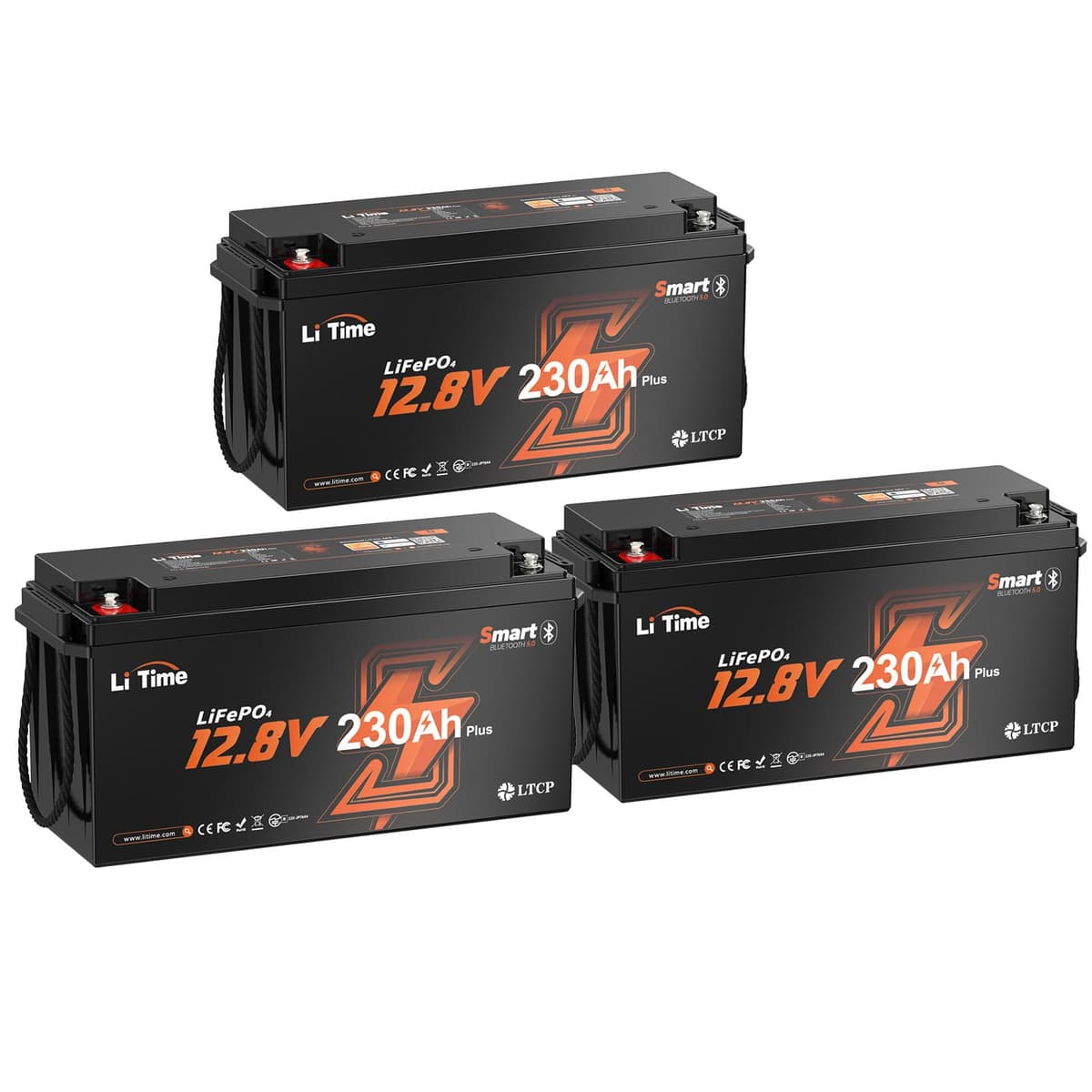 Litime A 230Ah RV Battery 3
