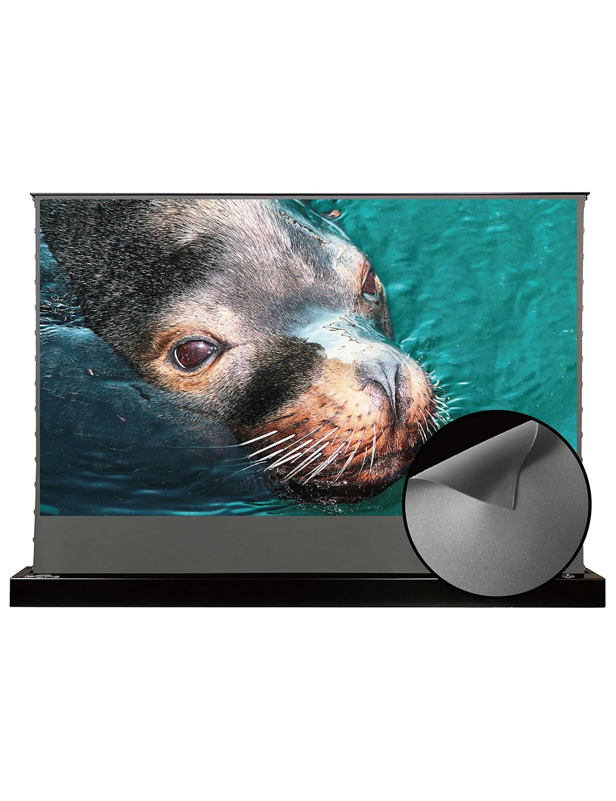 VIVID STORM SINCE 2004 VIVIDSTORM VSDSTALR100H Pantalla motorizada de suelo ALR 100" 16:9