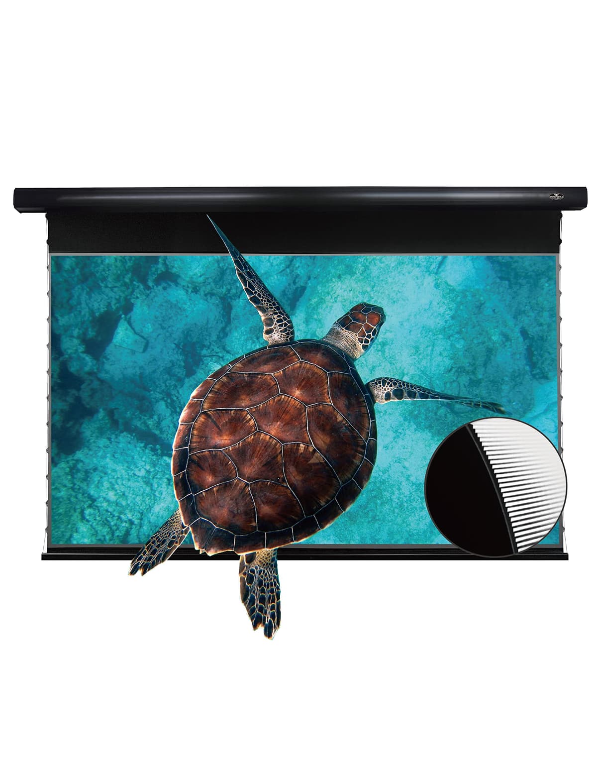VIVID STORM SINCE 2004 VIVIDSTORM VBMSLUST100H Pantalla motorizada UST ALR 100" 16:9