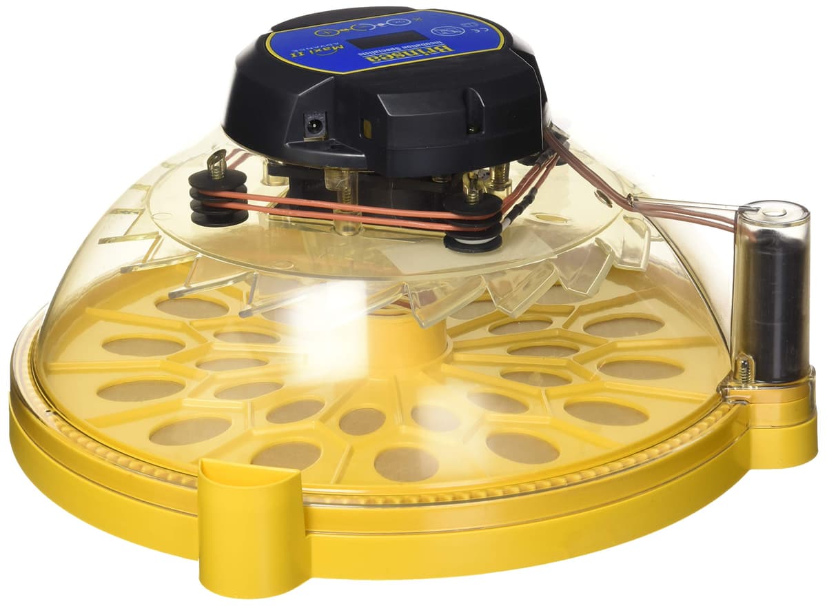 Brinsea Maxi II Advance Incubadora Automática para 14 Huevos - Control Digital USAC26C