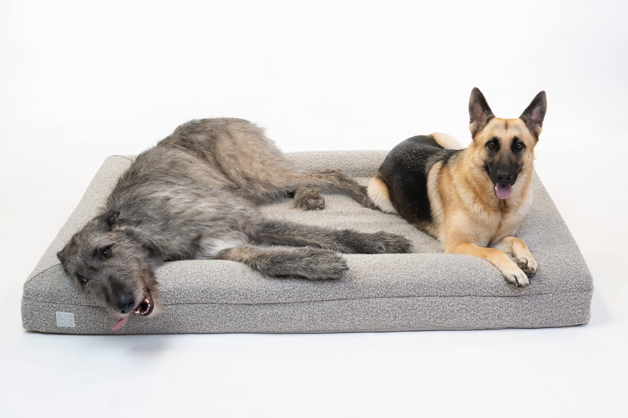 Bluewater Dog Cama de Espuma Viscoelástica Ortopédica sample_sku_56673