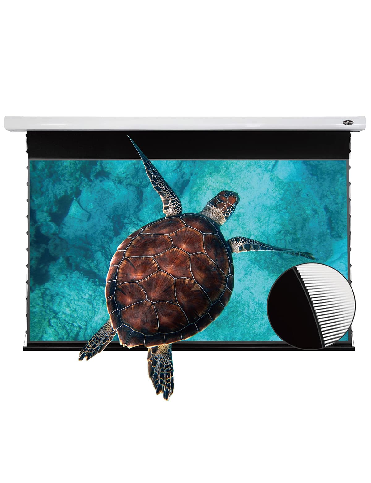 VIVID STORM SINCE 2004 Pantalla tensionada VIVIDSTORM ULTRA SHORT THROW ALR 92" 16:9 para proyectores UST VMSLUST92H-W