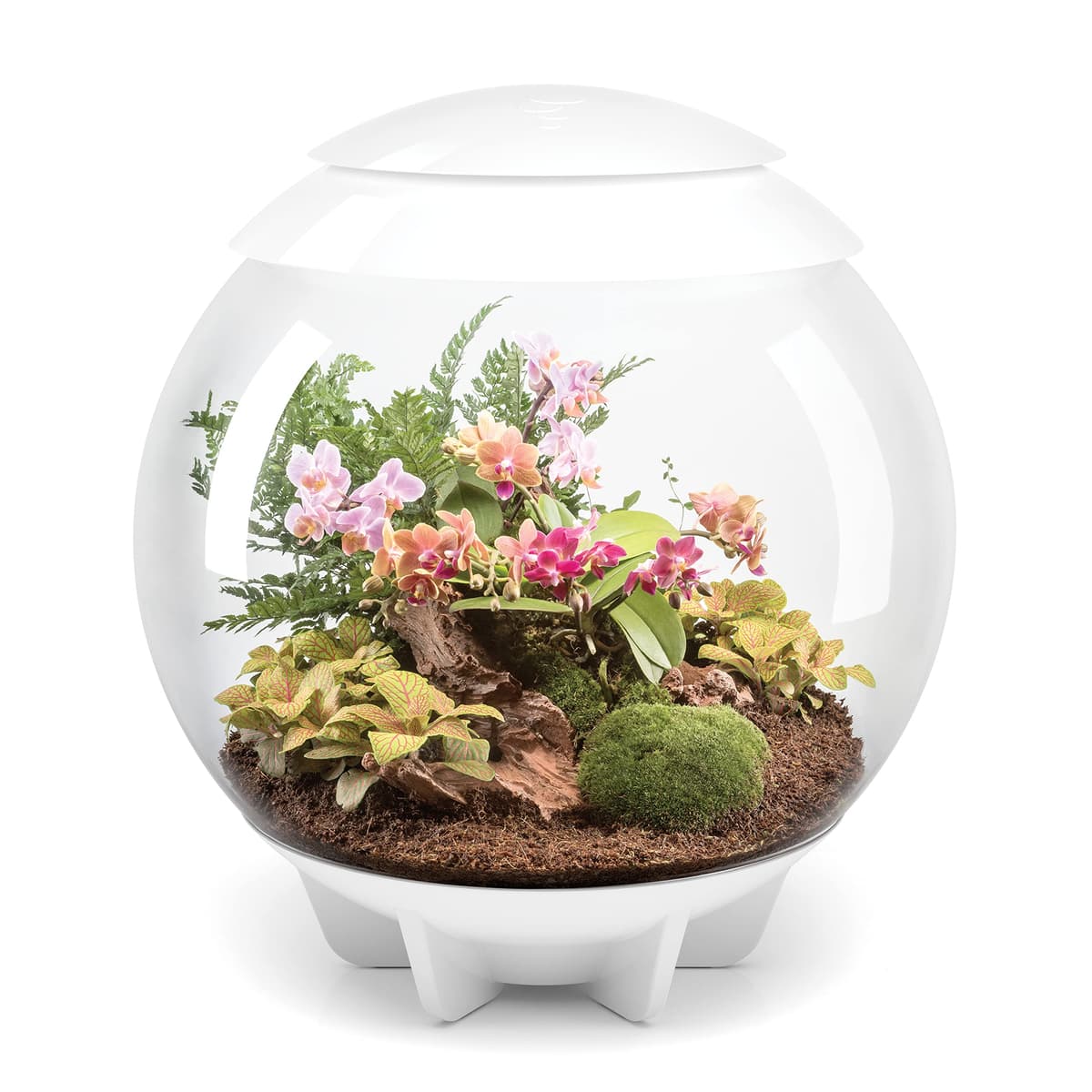 Terrario biOrb AIR 60 LED - 16 galones, blanco (46147) 32271