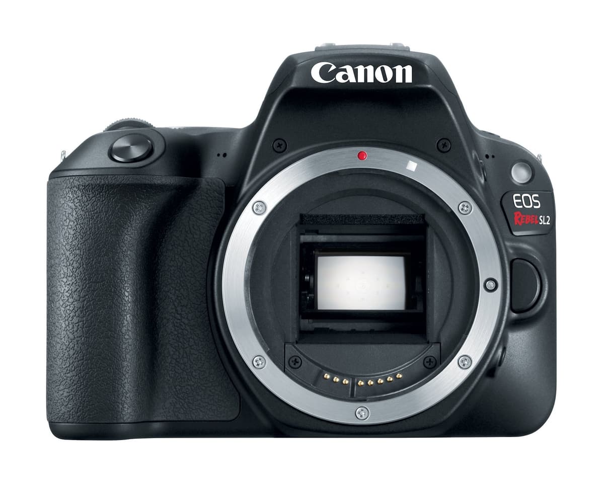 Cámara DSLR Canon EOS Rebel SL2 Cuerpo Negro Sólo (Reacondicionada) 2249C002
