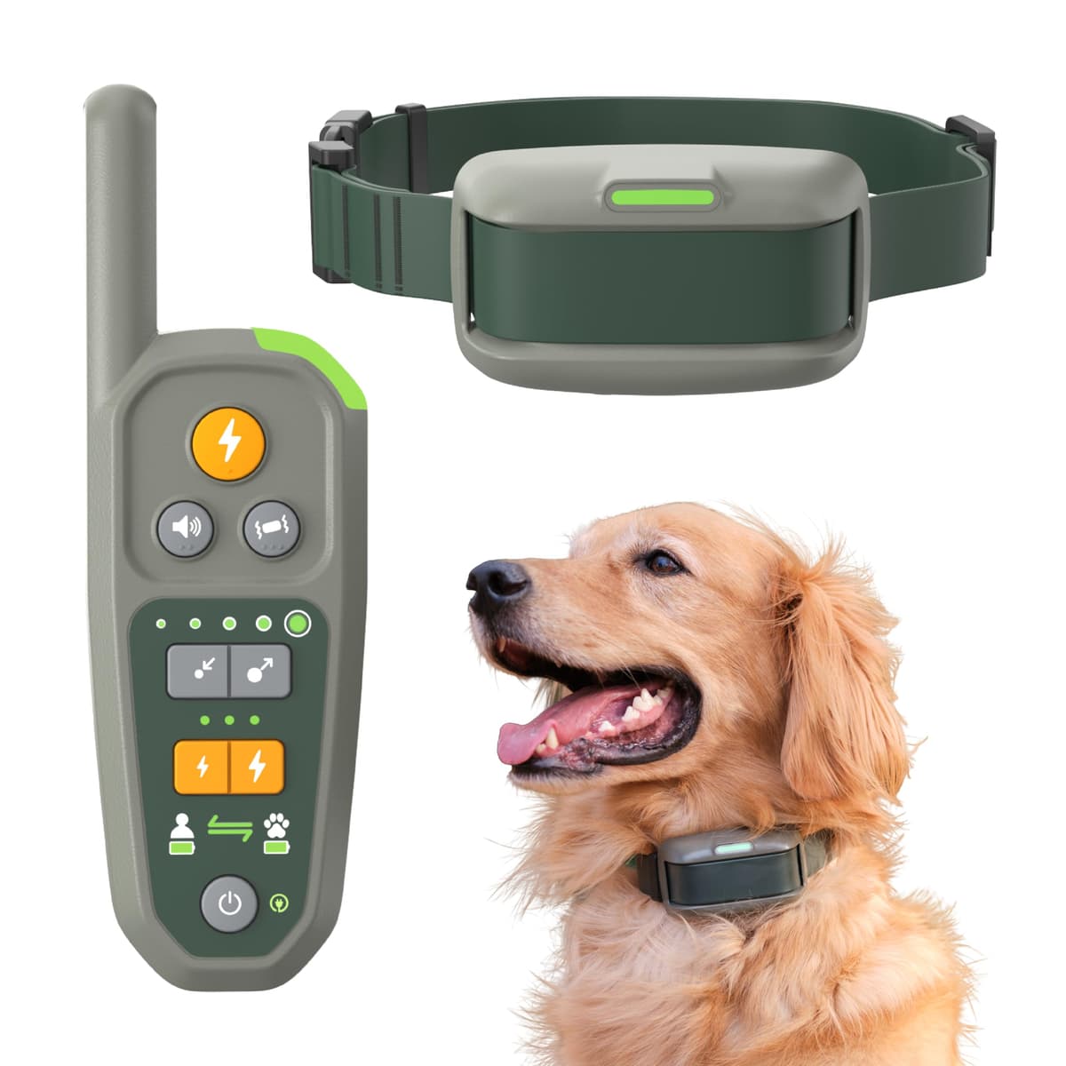 Correa Virtual para Perros Heel Roam - Mantiene Automáticamente a Tu Perro Cerca de Ti en Movimiento, con Tecnología AUTOPROX, Límites Centrados a Tu Alrededor, Collar Electrónico de Entrenamiento 008500