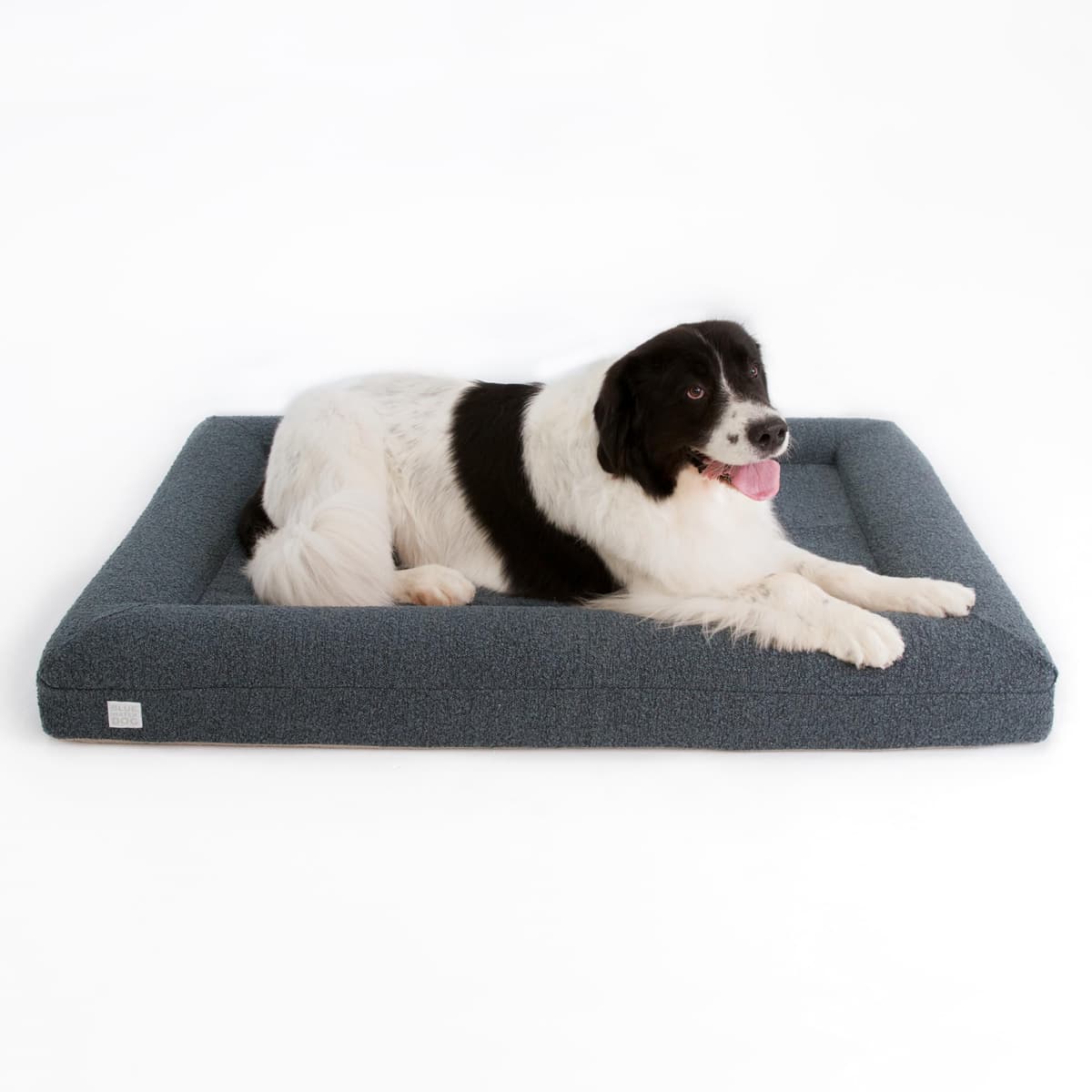 Bluewater Dog Cama de Espuma Viscoelástica Ortopédica