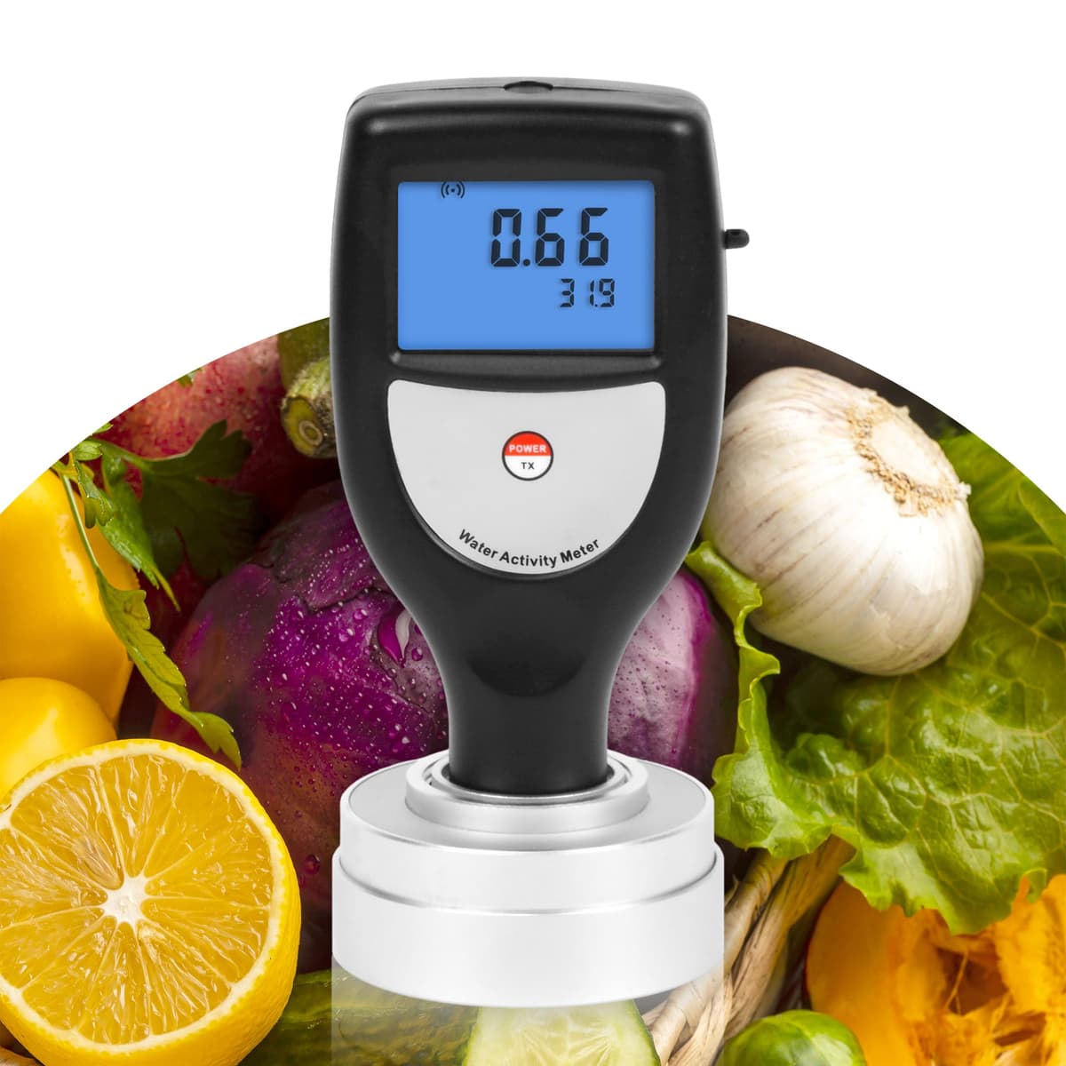 AMTAST Wa-60AS Medidor Portátil de Actividad de Agua con Software y USB, Rango 0~1.0aw