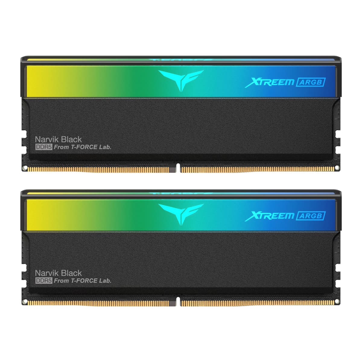 TEAMGROUP T-Force XTREEM ARGB DDR5 RAM 48GB (2x24GB) 8000MHz PC5-64000 CL38 M-DIE Módulo de memoria para escritorio RAM para chipsets serie 600/700 Compatible con XMP 3.0 Negro FF9D548G8000HC38EDC01