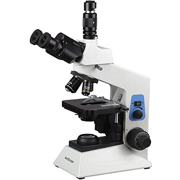 AmScope 2000X profesional microscopio compuesto biológico de investigación