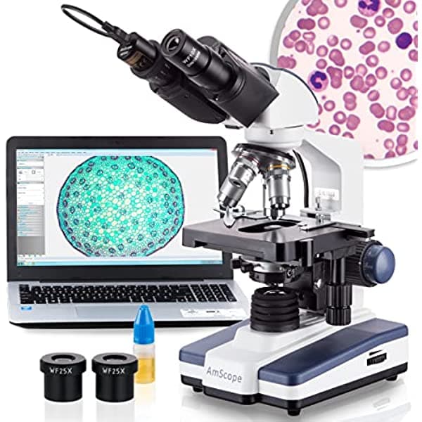 AmScope B120B-E Siedentopf Microscopio Compuesto Binocular Digital, Aumento 40X-2000X, Iluminación de Campo Claro LED, Condensador Abbe, Platina Mecánica de Doble Capa, Incluye Cámara de 3 MP y Software