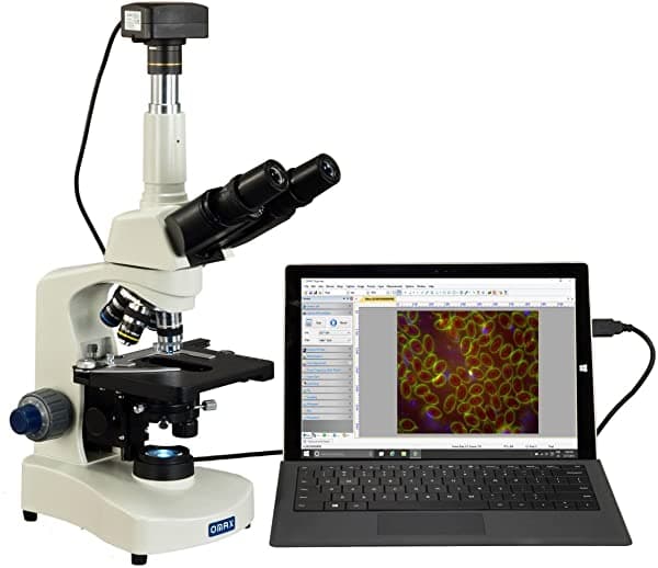 OMAX 40X-2500X USB3 10 MP Digital Darkfield Siedentopf Microscopio trinocular de laboratorio LED para sangre viva M8311Z-A191BOIL-C100U3