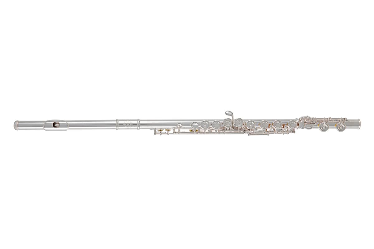 Roy Benson RB700432 Flauta Transversal FL-602E plateada, incluye estuche de madera con funda