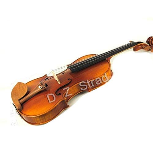 D Z Strad 2011 Viola - arco, estuche, resina y apoyabrazos - tamaño 16.5" - modelo N2011