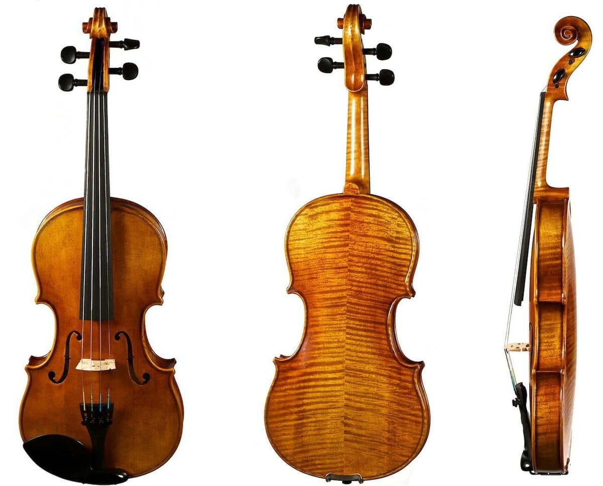 D Z Strad 2011 viola profesional 14" con arco D Z Strad, estuche, resina y apoyabrazos (tamaño 14 pulgadas)