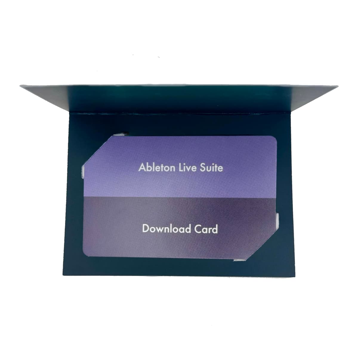 Ableton Live 12 Suite - Software de Producción Musical Profesional, DAW Completa, Instrumentos y Efectos, Composición, Grabación y Mezcla, Compatible Windows y macOS Live Suite