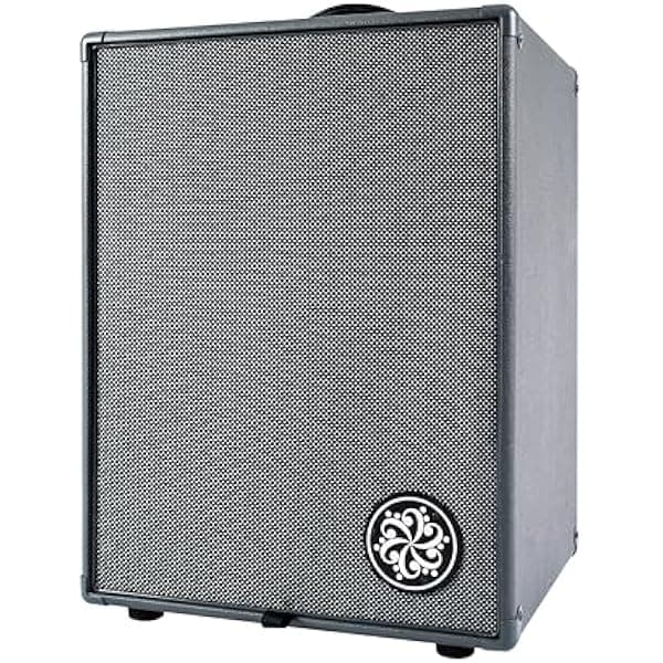 Darkglass Electronics Infinity 500 DG210D gabinete para bajo 2x10 500W con procesamiento digital